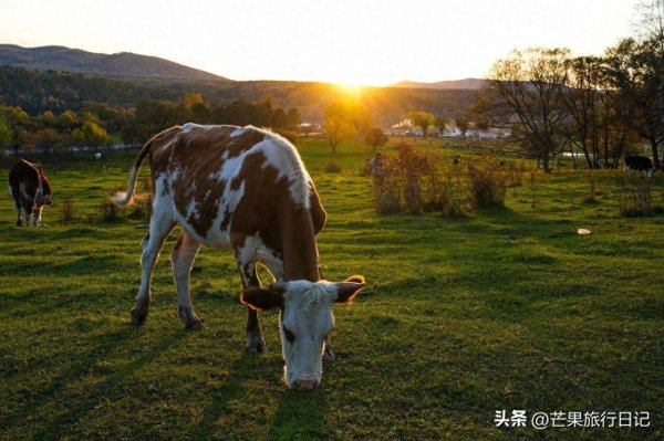 通配资 内蒙古与俄罗斯交界有个村庄，需报备才可进入，与世隔绝风景秀丽
